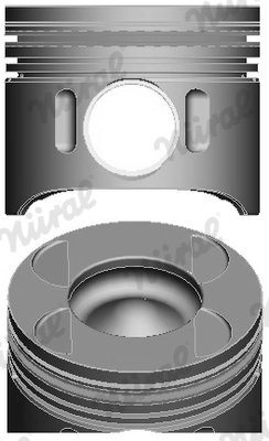 Piston Nural 87-428700-00