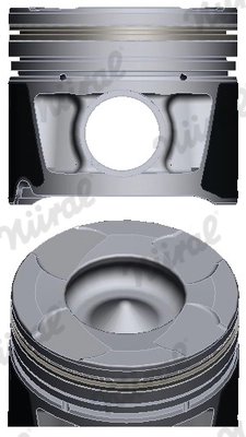Piston Nural 87-429306-10