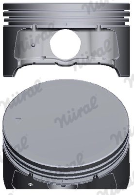 Piston Nural 87-429407-00