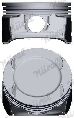 Piston Nural 87-429507-00