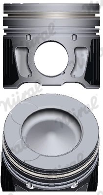 Piston Nural 87-436700-10
