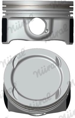 Piston Nural 87-437407-10