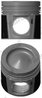 Piston Nural 87-437500-00