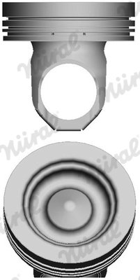 Piston Nural 87-437600-00