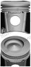 Piston Nural 87-442407-10