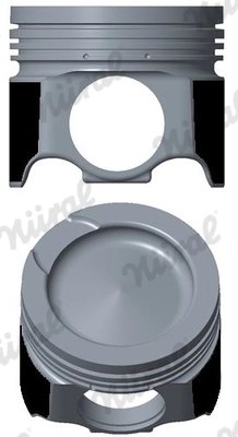 Piston Nural 87-444500-00