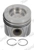 Piston Nural 87-447500-10