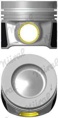 Piston Nural 87-447507-30