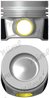 Piston Nural 87-447507-30