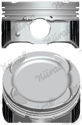 Piston Nural 87-448500-00