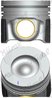 Piston Nural 87-452907-00