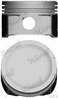 Piston Nural 87-502900-30
