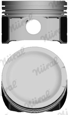 Piston Nural 87-502907-30