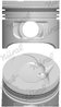 Piston Nural 87-743100-10