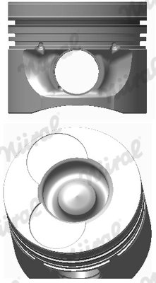 Piston Nural 87-743107-00