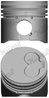 Piston Nural 87-990100-10