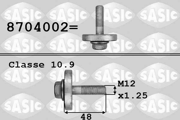 Surub fulie Sasic 8704002