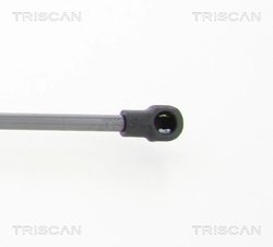 Amortizor portbagaj Triscan 8710 112011