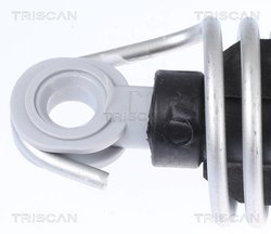 Amortizor portbagaj Triscan 8710 112015
