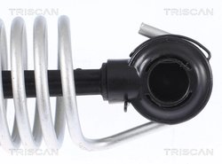 Amortizor portbagaj Triscan 8710 112015