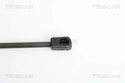 AMORTIZOR PORTBAGAJ TRISCAN 8710 11225 - Compatibil cu BMW