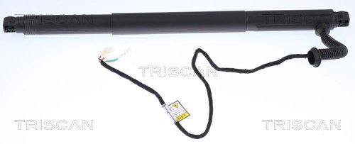 Amortizor portbagaj Triscan 8710 11302