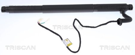 Amortizor portbagaj Triscan 8710 11302