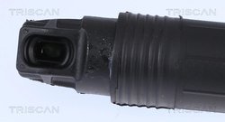 Amortizor portbagaj Triscan 8710 11302