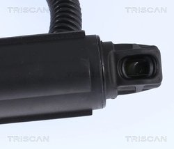 Amortizor portbagaj Triscan 8710 11302