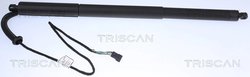 Amortizor portbagaj Triscan 8710 11305