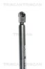 AMORTIZOR LUNETA TRISCAN 8710 16251 - Compatibil cu FORD