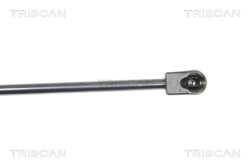 AMORTIZOR LUNETA TRISCAN 8710 16251 - Compatibil cu FORD