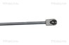 AMORTIZOR LUNETA TRISCAN 8710 16251 - Compatibil cu FORD
