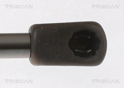 Amortizor portbagaj Triscan 8710 18245