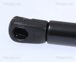 Amortizor portbagaj Triscan 8710 23299