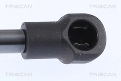 Amortizor portbagaj Triscan 8710 28300