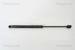Amortizor capota Triscan 8710 29123