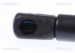 Amortizor capota Triscan 8710 29151