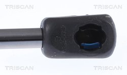 Amortizor capota Triscan 8710 29151