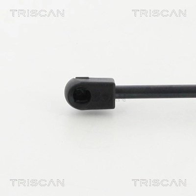 Amortizor portbagaj Triscan 8710 292010
