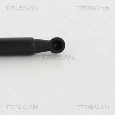 Amortizor portbagaj Triscan 8710 292019