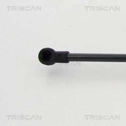 Amortizor portbagaj Triscan 8710 292019
