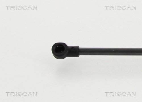 AMORTIZOR PORTBAGAJ TRISCAN 8710 292101 - Compatibil cu SEAT, VW