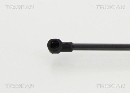 AMORTIZOR PORTBAGAJ TRISCAN 8710 292101 - Compatibil cu SEAT, VW