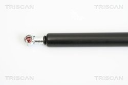 Amortizor portbagaj Triscan 8710 29277