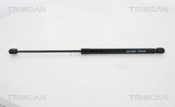 Amortizor portbagaj Triscan 8710 29294