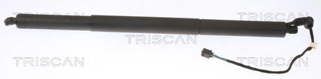 Amortizor portbagaj Triscan 8710 29306