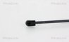 AMORTIZOR PORTBAGAJ TRISCAN 8710 29294 - Compatibil cu VW