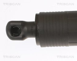 Amortizor portbagaj Triscan 8710 29306