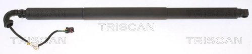 Amortizor portbagaj Triscan 8710 29308